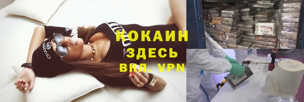 стаф Алексин