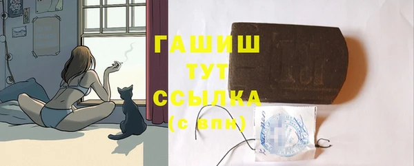 стаф Алексин