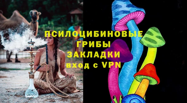стаф Алексин
