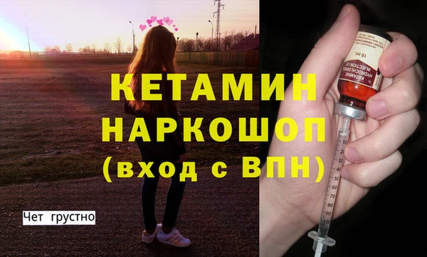 стаф Алексин