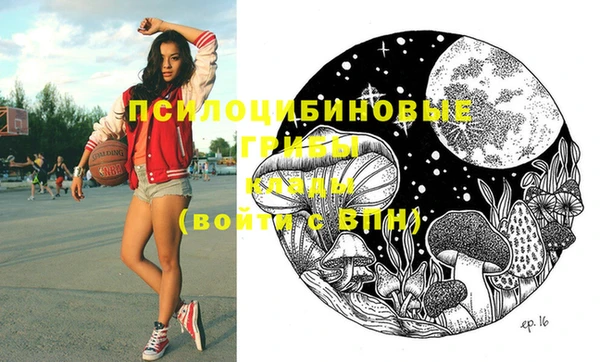 ПСИЛОЦИБИНОВЫЕ ГРИБЫ Алексеевка