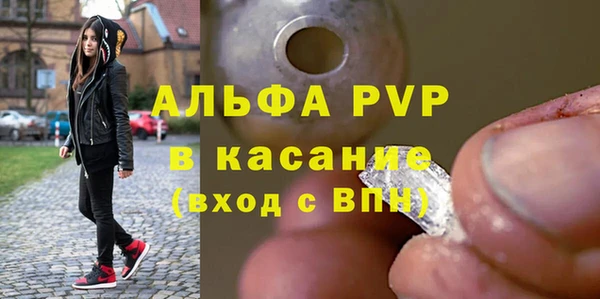 стаф Алексин