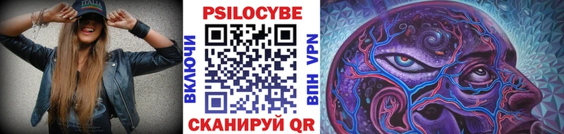 Псилоцибиновые грибы Psilocybine cubensis сколько стоит Балашов
